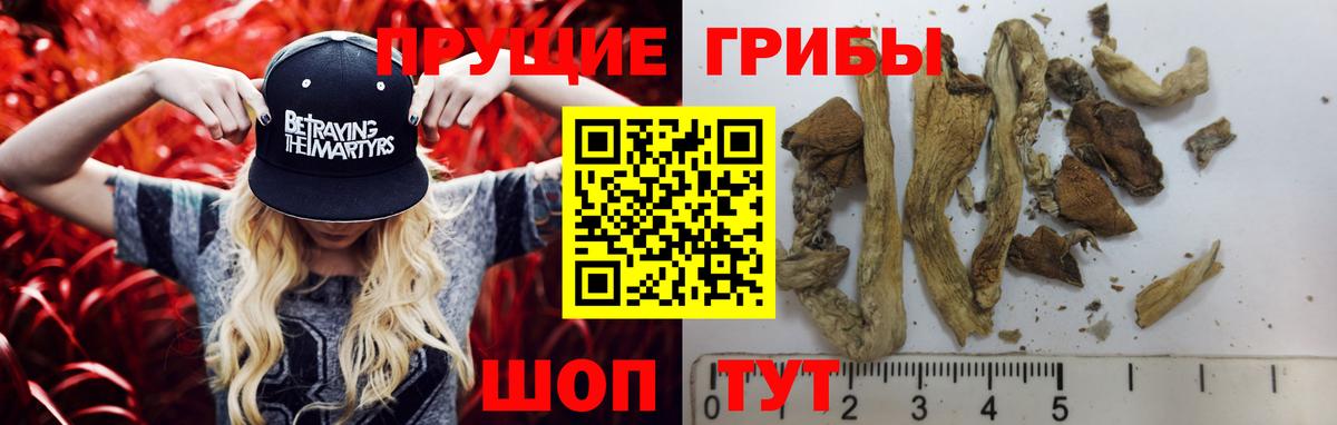 Галлюциногенные грибы мухоморы  Псилоцибиновые грибы Psilocybine cubensis  Гулькевичи  Вход с VPN 